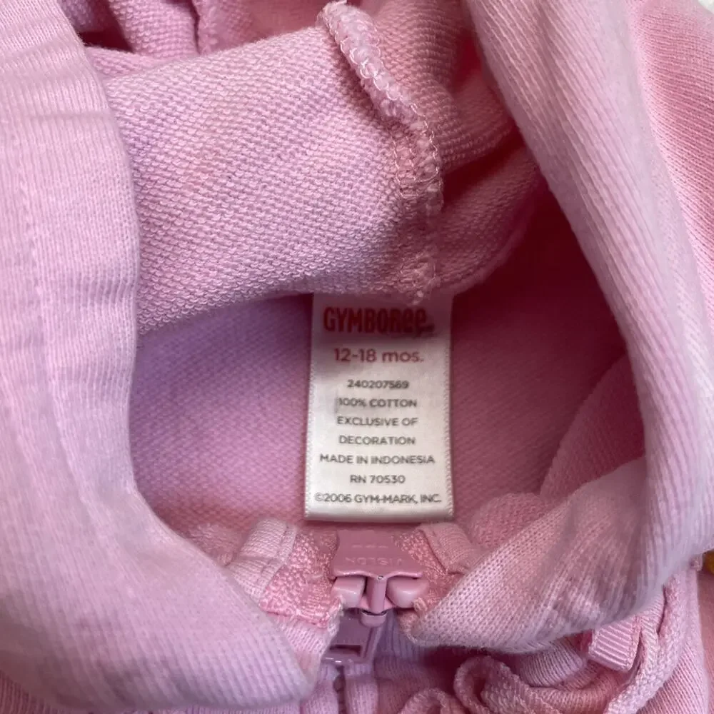 Gymboree Skirt And Hoodie Set